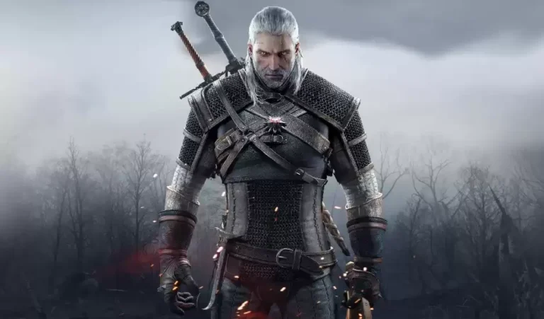 The Witcher Ведьмак игра