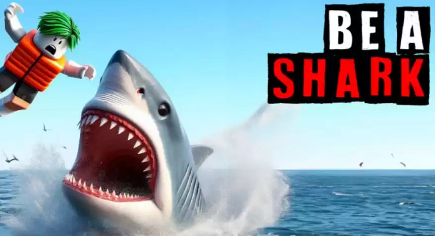 Коды Be a Shark - бесплатные бонусы