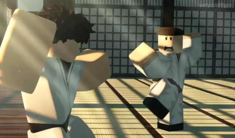 RoKarate коды