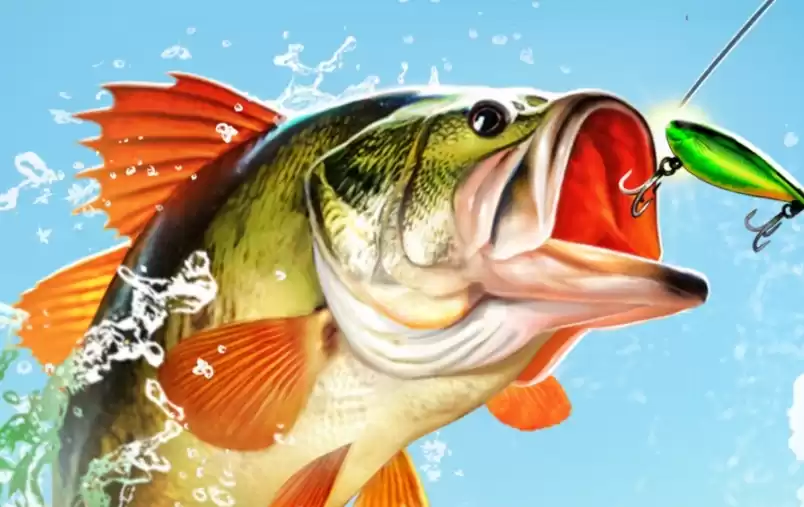 Fishing Master коды