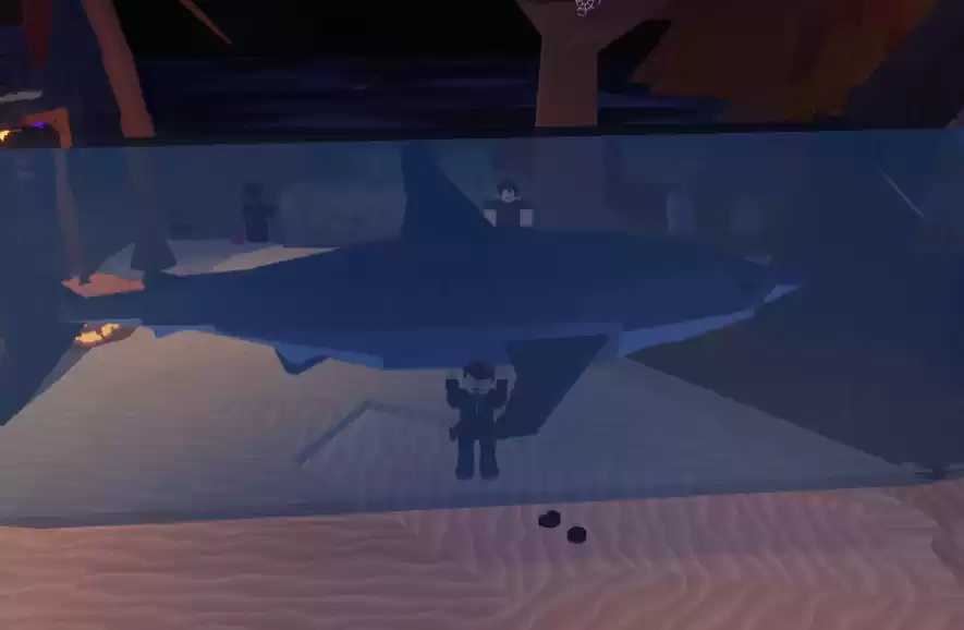 Roblox Fisch: Гайд по акулам