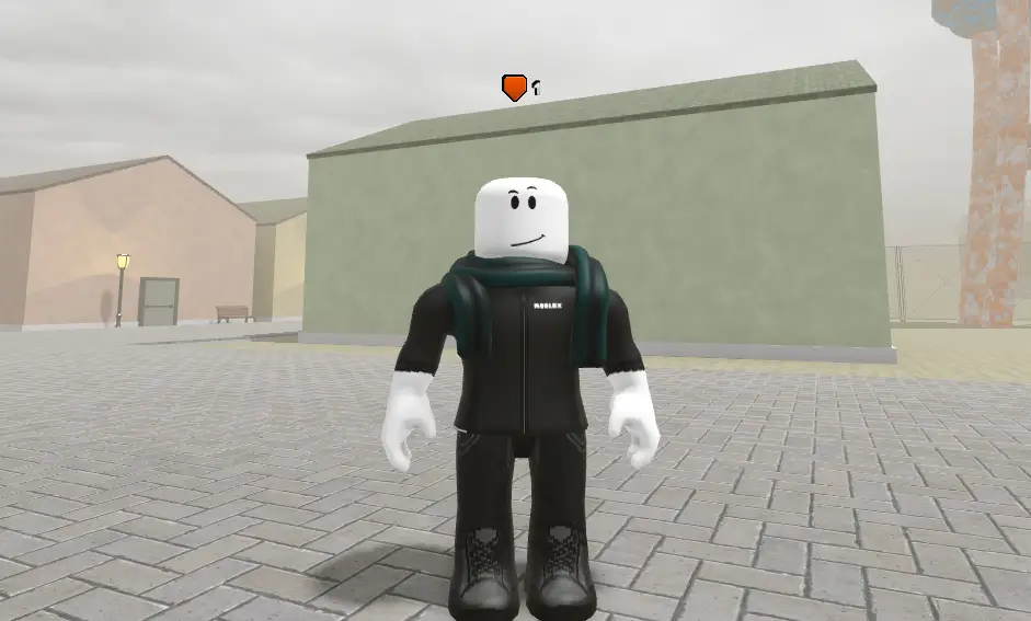 Payload коды