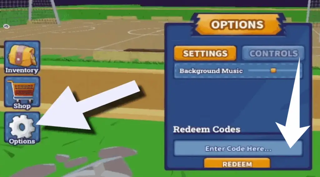 Куда вводить Inazuma Strikers коды?