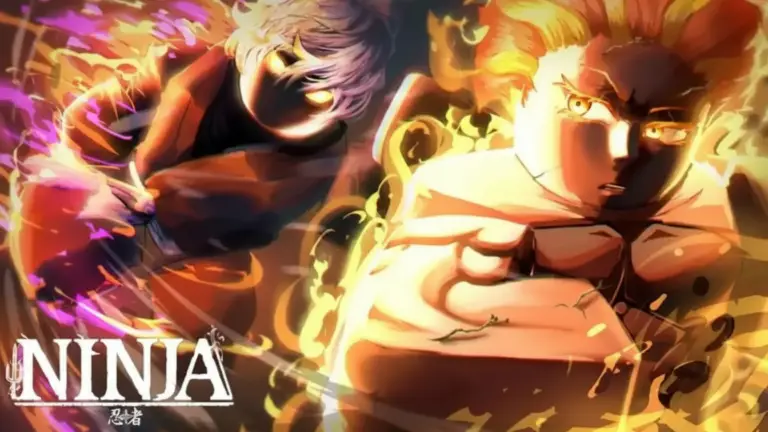 NINJA коды (codes)