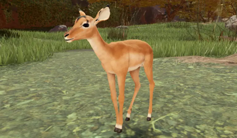 Саванная жизнь коды (Savannah Life Codes)