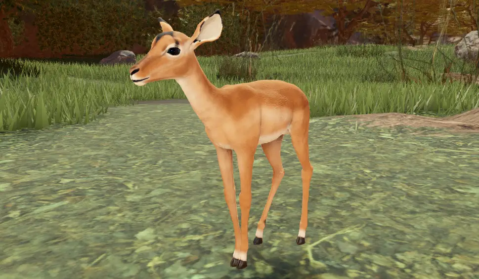 Саванная жизнь коды (Savannah Life Codes)