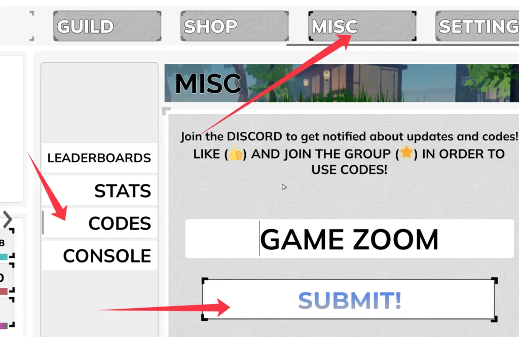 Куда вводить Chasing Immortality коды
